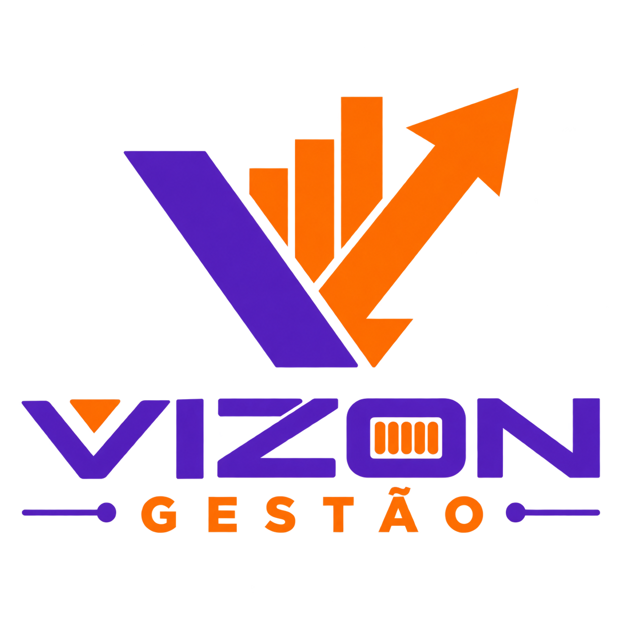 VIZON Gestão